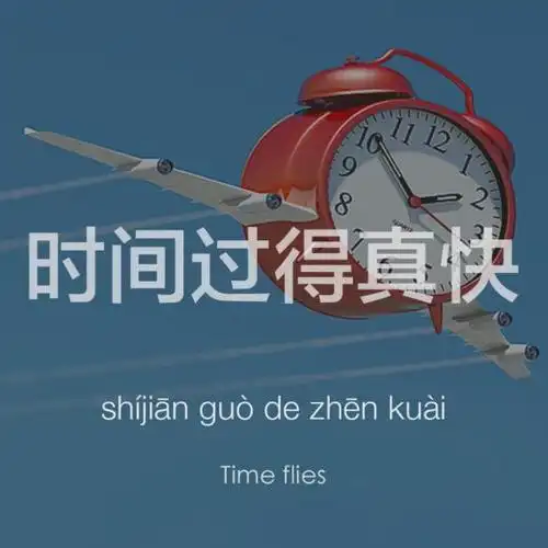 时光飞逝！2024赛季NBA/CBA赛程过半，这些球星动态和数据你敢信？